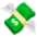 Money Icon